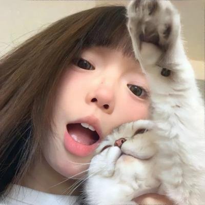 大家伙